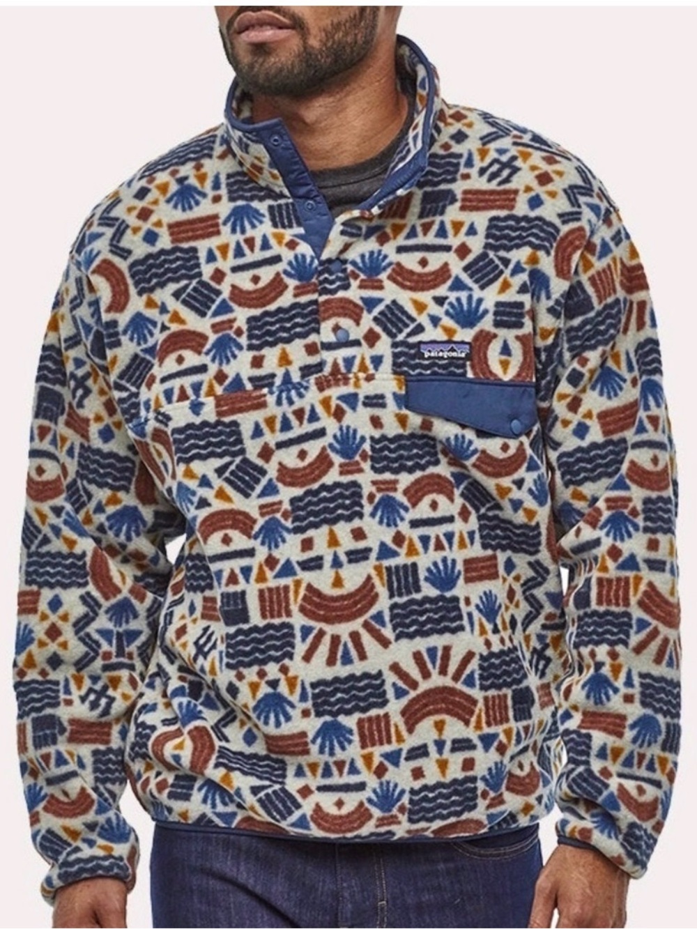 Patagonia Lightweight Synchilla Snap-T Pullover protected peaks
